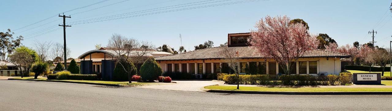 Banksia Motel Collie Exteriér fotografie